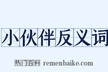 小伙伴反义词是什么意思的图片